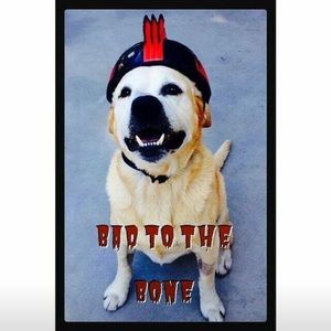 Meet your Posher, Ramon